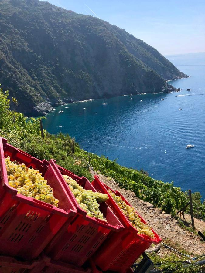 Casa Natalina Leilighet Monterosso al Mare Eksteriør bilde